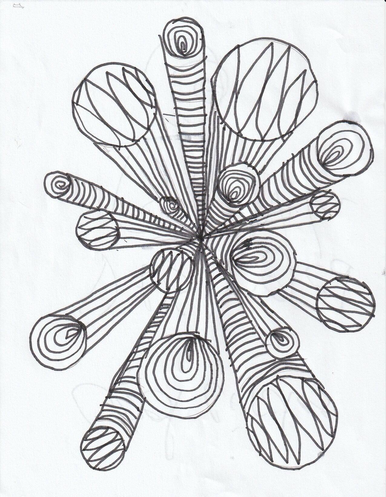 A burst of long striped and spiralled ovals radiating from a centre like a firework of patterned petals.